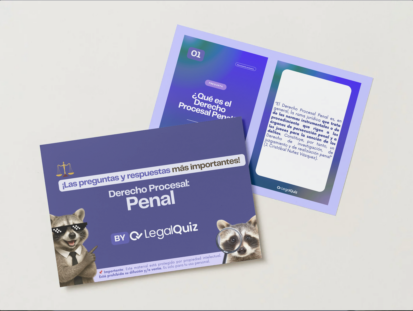 PDF Derecho Procesal Penal🔎