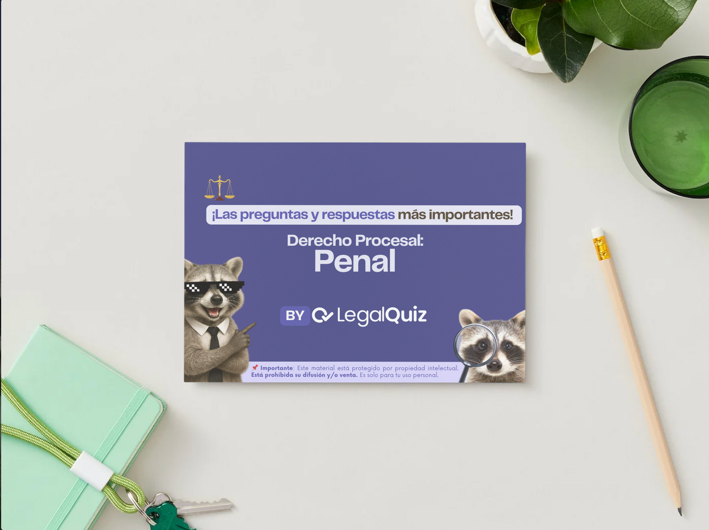 PDF Derecho Procesal Penal🔎