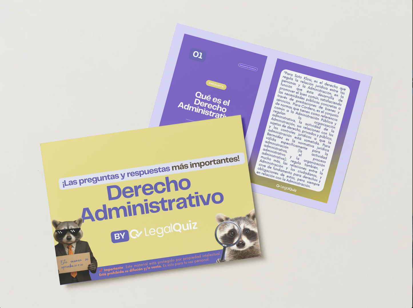 PDF ADMINISTRATIVO I