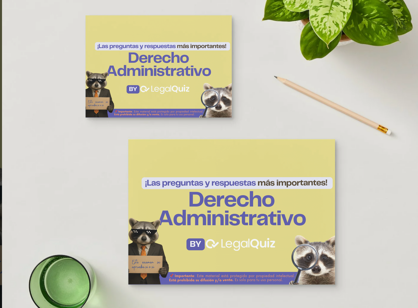 PDF ADMINISTRATIVO I