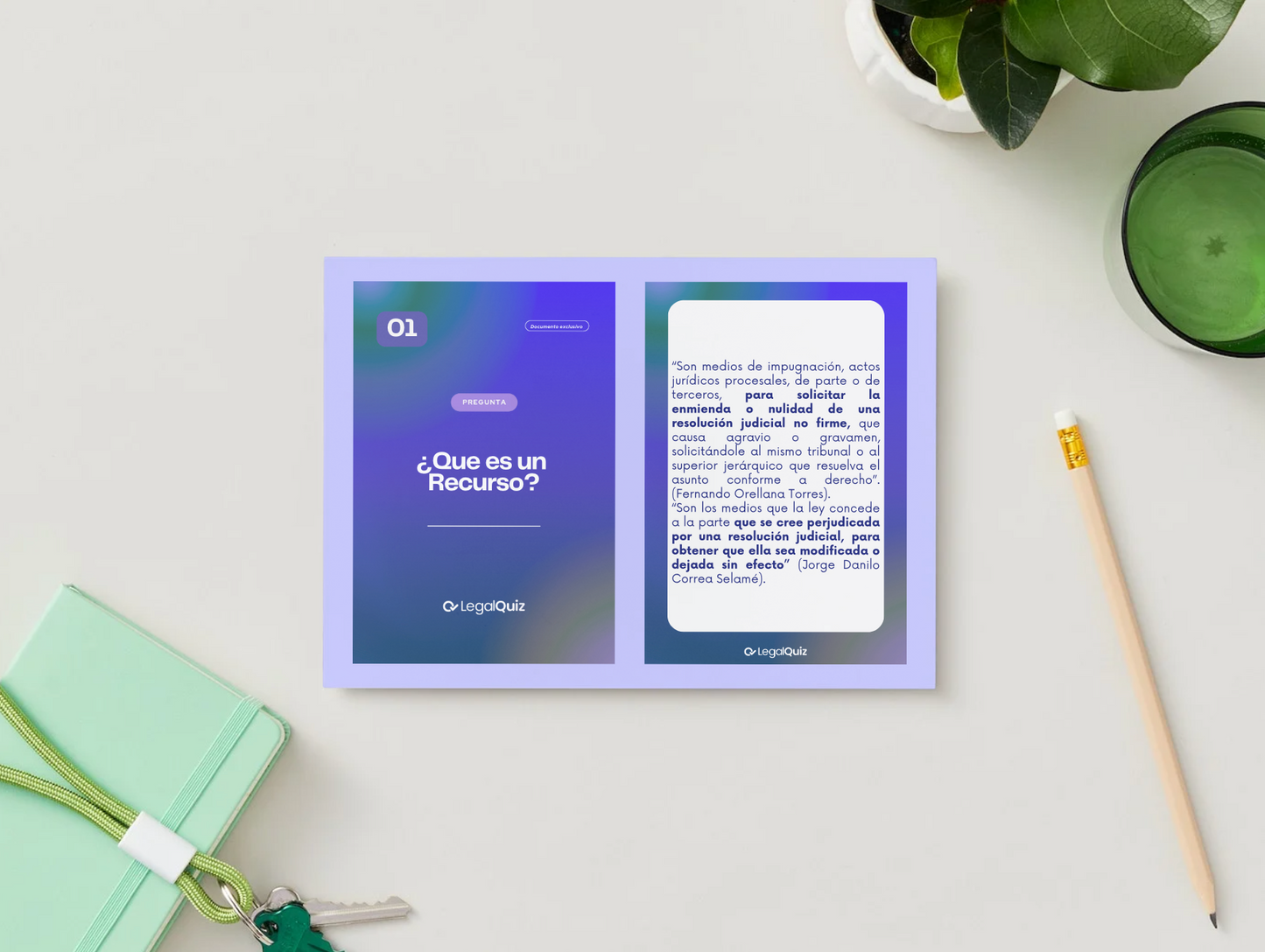 PDF 🚀Derecho Procesal: Recursos🚀