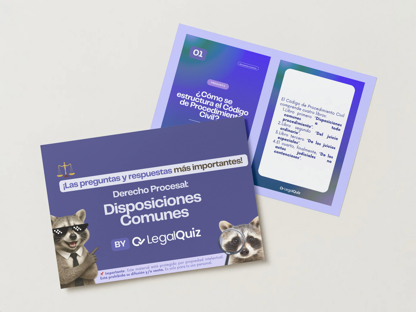 PDF Derecho Procesal Disposiciones comunes
