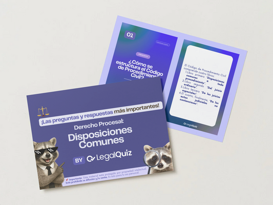 PDF Derecho Procesal Disposiciones comunes